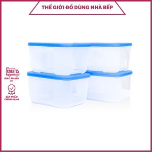 Bộ 4 Hộp Đựng Thực Phẩm New Tupperware Trữ Đông Gen I Small 650ml