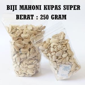 250Gram  Biji Mahoni Kupas Kering Kualitas Super Masak Pohon