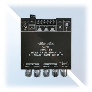 TB21 21 Channel Bluetooth Digital Amplifier 160W2 220W Subwoofer para sa Kotse at Home Audio