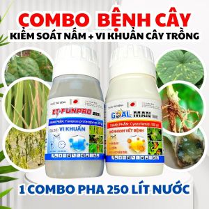 COMBO NGỪA NẤM – VI KHUẨN BẦU BÍ DƯA | PHÒNG SƯƠNG MAI – ĐỐM LÁ – THỐI TRÁI – CHÁY LÁ