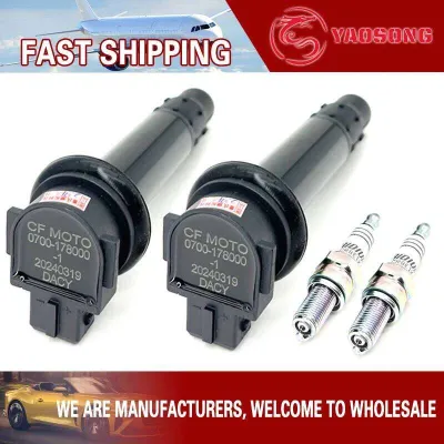 2PCS Original Ignition coil FOR CF MOTO 0700-178000 CF400 650NK CF650 400GT CF500 650MT CF700 700CLX MORINI X CAPE 650
