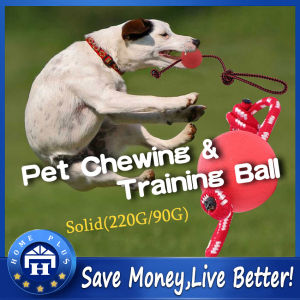 【Local delivery】 【Save Rubber】Solid Rubber Dog Chew Toys Pet Ball Tug Toy Tooth Cleaning Chewing Puppy Pet Toy For Play Training With Tug Rope Handle Pet Rubber Ball