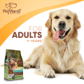 PetMarra Adult Dog Dry Food Ages 1 Year and Up Beef and Chicken Flavor 1kg dogs kibbles pet foods all breeds kibble. 