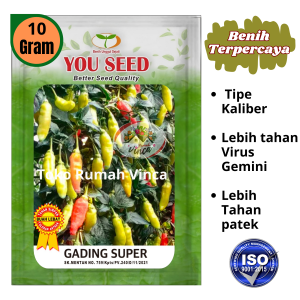 Cabe Rawit Setan tipe Kaliber GADING SUPER 10gram dari You Seed