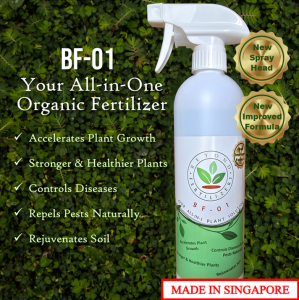 BF-01 Liquid Organic Fertilizer–All-in-one Plant / Gardening Solution (A product of Beyond Fertilizersᵀᴹ)