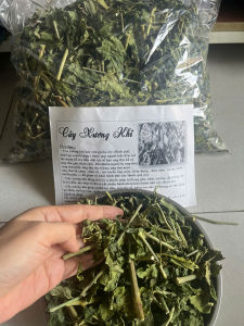 1kg Cây XƯƠNG KHỈ (Cây Bìm Bịp Khô) – Thảo Dược Nấu Nước Uống Hằng Ngày