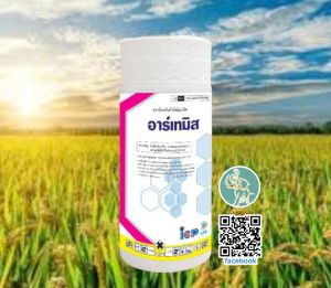 อาร์เทมิส(สารเดียวกับออติวา) ยกลัง (1 ลิตรx20 ขวด) เฉลี่ยขวดละ 895 บาท ใช้ป้องกันกำจัดโรคเมล็ดด่าง โรคกาบใบแห้ง