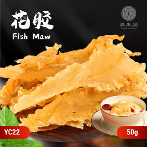 Chinese Herbs Herbal Medicine Fish Maw Dried Fish Maw Beauty Maw Fish Maw 中药材 干货 花胶 养颜花胶 花胶 YC22