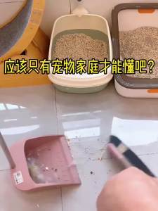 Konka KONKA Vacuum Cleaner Household Wired Large Suction Lightweight Small Handheld Mini High-Power Vacuum Cleaner