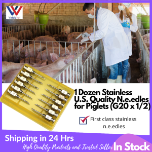 Vidda VetPro 1dozen Reusable USA Quality Needle karayom Stainless steel needle for pig stainless steel veterinary needle