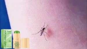 South Moon Comfrey Herbal Balm Relieve Burning Sensation And Itching Caused By Mosquito Bites Soothe Skin Discomfort Relieve Redness And Discomfort Moisturizing Soothing Refreshing Skin-Friendly Mosquito Prevention Body Care Product 7g