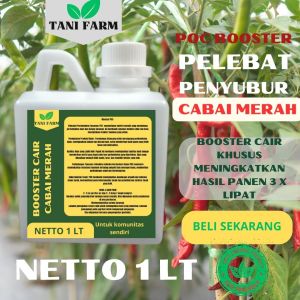 Pupuk Semprot Pelebat Cabai merah Pupuk Pelebat Cabai merah Pupuk Penyubur Cabai merah ZPT
