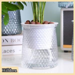 [Hilldora] กระถางต้นไม้พลาสติกใสรดน้ำเองสองชั้นแจกันดอกไม้อัตโนมัติกระถางต้นไม้สำหรับตกแต่งกระถางดอกไม้ไฮโดรโพนิก
