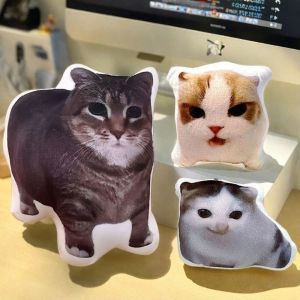 Funny Cat Memes Series Doll Pendant Keychain Oiiaioooooiai Cat Plush Pendant with Sound Toy Car Bag Funny Pendant Keyring Gifts Kids