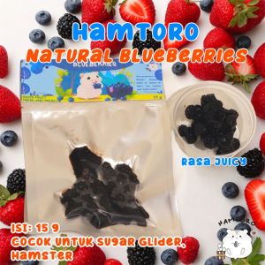 Hamtoro / Snack Hamster / Makanan Hamster / Snack Kelinci Buah Segar / Bluebery / Snack Sugar Glider
