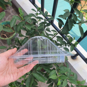 SET 100 Cái Hộp nhựa H06 - Trong suốt - Đưng sanwich bánh bông lan