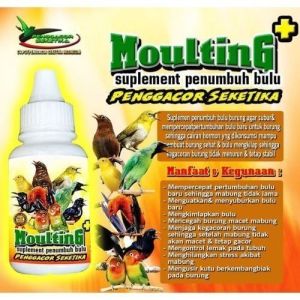 BMW Moulting Penumbuh Bulu Vitamin Suplemen Penggacor Burung