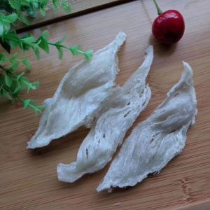 sarang burung walet atau YENWO asli BERSIH dan HALAL oval SUPER 5gram