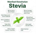 GULA STEVIA NOL ZERO KALORI DIET ALAMI 15ML. 