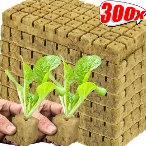 300ชิ้น บล็อกเพาะกล้า - ฟองน้ำหินสำหรับปลูก - ก้อนเพาะกล้า บล็อคเพาะกล้าไร้ดิน บล็อคหินสำหรับเพาะกล้า