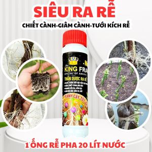 Kích Rễ Mạnh Giâm Cành Chiết Cành - ỐNG 20ML KING FRANCE – DUNG DỊCH HỖ TRỢ PHÁT TRIỂN RỄ CÂY SIÊU ĐẬM ĐẶC (HÀNG NHẬP KHẨU MỸ)