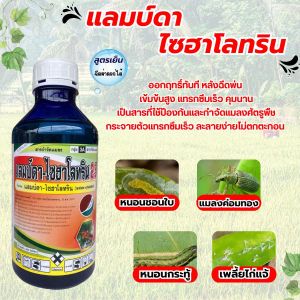 แลมบ์ดา ไซฮาโลทริน ( ขนาด 1 ลิตร ) กำจัดแมลงได้กว้างขวาง ทั้งเพลี้ยและหนอน ชนิดปากกัด และ ปากดูด ปลอดภัยต่อพืชที่ปลูก