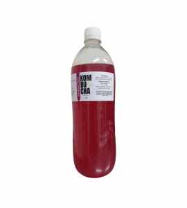 PalaMig Kombucha Dragon Fruit Juice