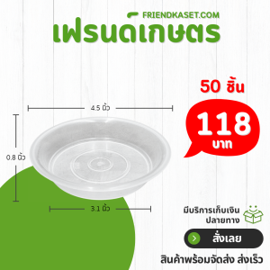 กระถาง กระถางต้นไม้ กระถางใส เบอร์ 4 นิ้ว สีใส 50 ใบ ชิ้น อัน