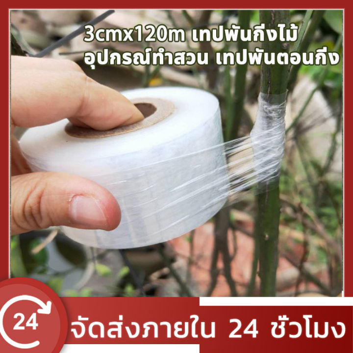 เทปพันกิ่งไม้ ฟิล์ม PE ทนน้ำ ยืดหยุ่น