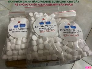 [TẶNG 15]Vitanmin Buviplant cho cây cảnh (GÓI 30V)