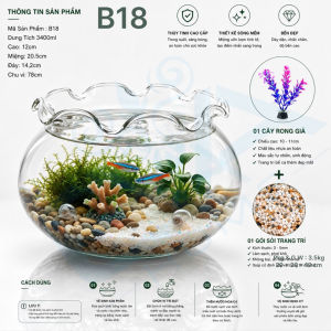 Bát Thủy Tinh Tròn Miệng Sóng 850ml Nuôi Cá Tiểu Cảnh Tặng Sỏi Và Cây Rong Giả B16