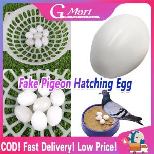 Pigeon False Eggs Bird Feeding Supplies Simulation Eggs Aviculture Tools Nest Fake Hatching Egg Hot Sellings Solid Egg Pigeon-False-Egg-Solid