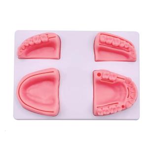 Dental Suture Pad with 4 Typical Dental Silicone Suture Pads for Nurse Dentist Suture Training Education Use Only
