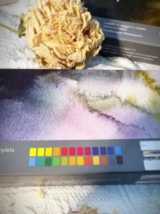 Imported WINSOR&NEWTON artist solid Аквариум pigment 12/24 color master level half watercolor set painting beginner art supplies