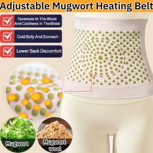 Mugwort Heating Belt Summer Mugwort Dehumidification Waist Essential for Air-conditioned Rooms艾草除湿护腰