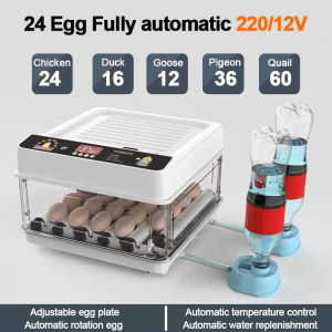 220V/12V Egg Incubator 24/48 Egg Fully Automatic Incubator Digital Hatcher Brooder with Temperature Control and Auto Turning for Hatching Chicken Duck Goose Quail Birds Incubators for Farm