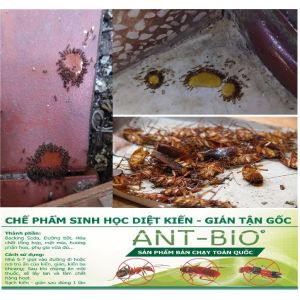 Chế Phẩm diệt kiến tận gốc ANT-BIO dạng nhỏ giọt lọ 20ml