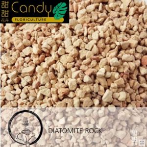 (SG Seller) Diatomite Rock 2L (Usagi)