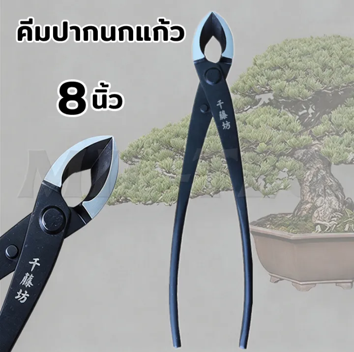 คีมปากท้องเรือ คีมปากนกแก้ว สำหรับบอนไซ 8 นิ้ว