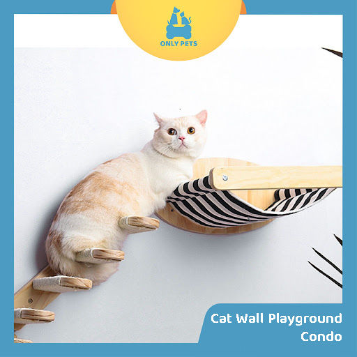 ONLY PETS Cat Wall Playground Cat Condo Scratcher Rumah Bermain - Main Image