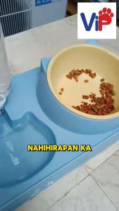 Whiskas Ocean Fish Adult Cat Food Available in 7kg and Repacked