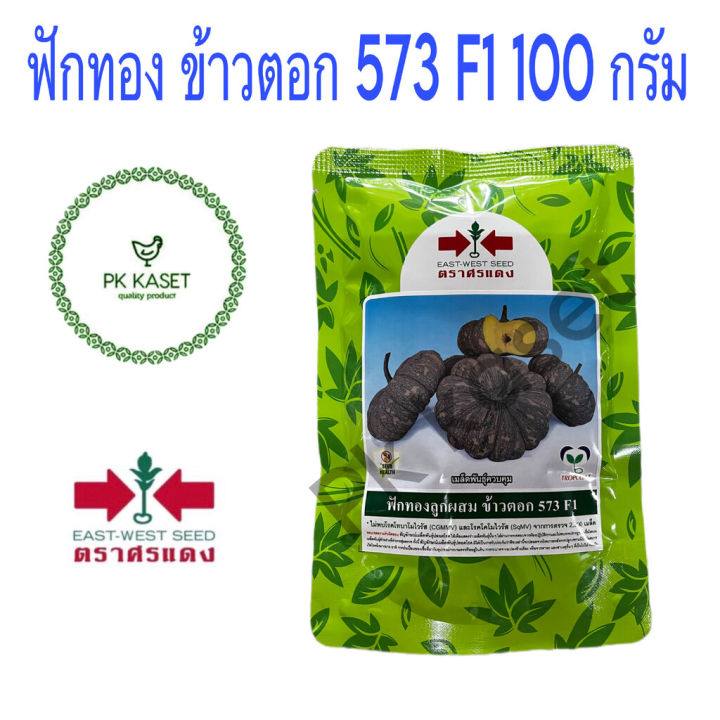 เมล็ดฟักทอง ข้าวตอก 573 F1 ตราศรแดง เนื้อหนา เหนียว