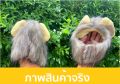 หมวกหัวสิงโต หมวกสัตว์เลี้ยง หมวกหมา หมวกแมว หมวกหัวสิงโตแมว หมวกสิงโตสุนัข วิกหัวสิงโตใส่สัตว์เลี้ยง พร๊อพสุดฮิต ใครเห็นก็ชอบ. 