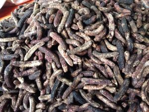 COMBO 2KG Chuối hột rừng Tây Nguyên sấy khô chuối chín cây lột vỏ sấy khô cho người đau lưng nhức mỏi sỏi thận tăng sinh lý