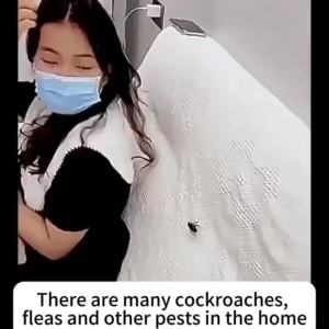 Fast & Effective Spider Killer Spray: 500ml Spider Spray