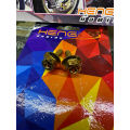HENG Original SUZUKI RAIDER 150 FI Headlight Side bolts (2pcs). 