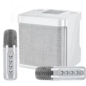 3D Stereo Amplifier Speaker Wireless Bluetooth Dual Microphone Karaoke Speaker