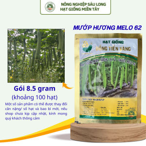 Melo 62 Hạt giống mướp hương siêu trái Đồng Tiền Vàng ( 100 hạt)