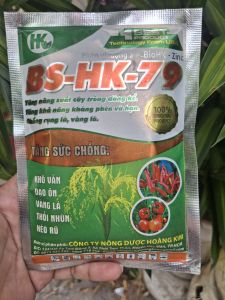 Ngăn Ngừa Đạo Ôn Khô vằn Thối nhũn héo rũ BS-HK-79 (Combo 3 gói). PHÒNG CÁC BỆNH VỀ NẤM - KHUẨN HẠI CÂY TRỒNGG