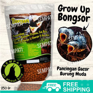 SEMPATI Pakan Lolohan Bongsor Pakan Lolohan Trotol Murai Batu Voer Loloh Piyik Burung Cindil Murai Batu Makanan Anakan Burung Murai Batu Pakan Lolohan Cindil Piyik Anakan Burung Murai Batu